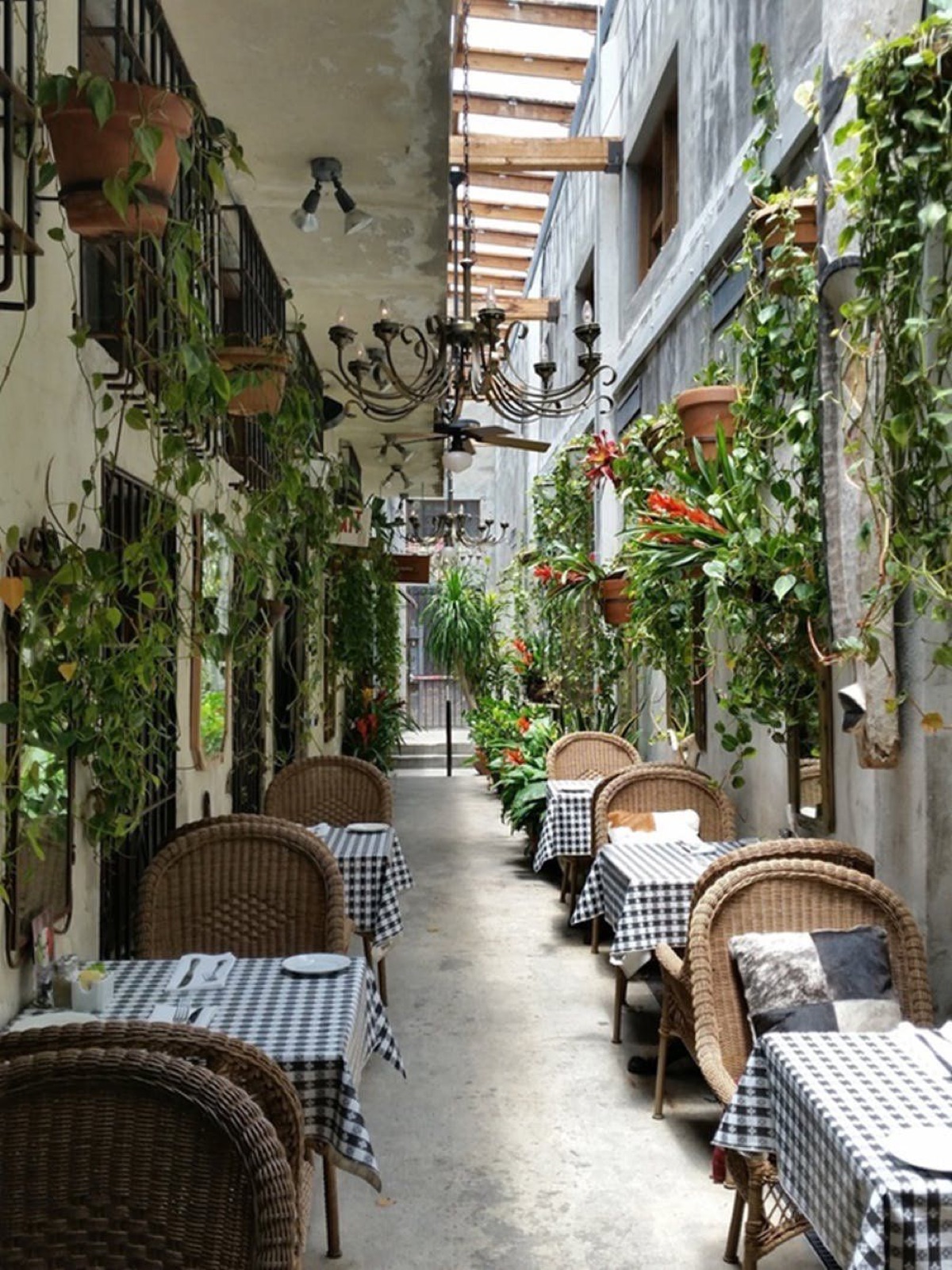 Bitkilerle çevrili açık hava restoranında kareli masa örtüleri